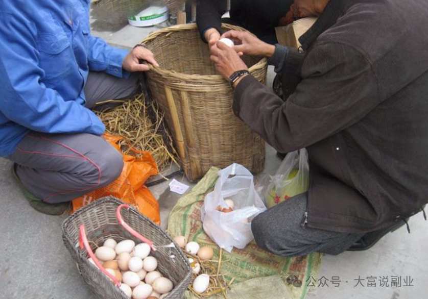 一年四季不愁销路的生意有哪些呢？找准这些方向挣钱只是顺带-大富博客